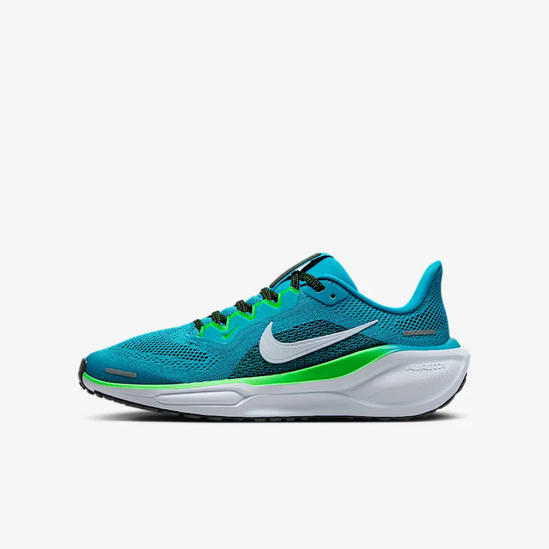 Nike 페가수스 41