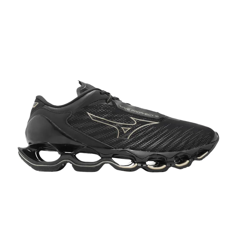 Mizuno 웨이브 프로피시 12