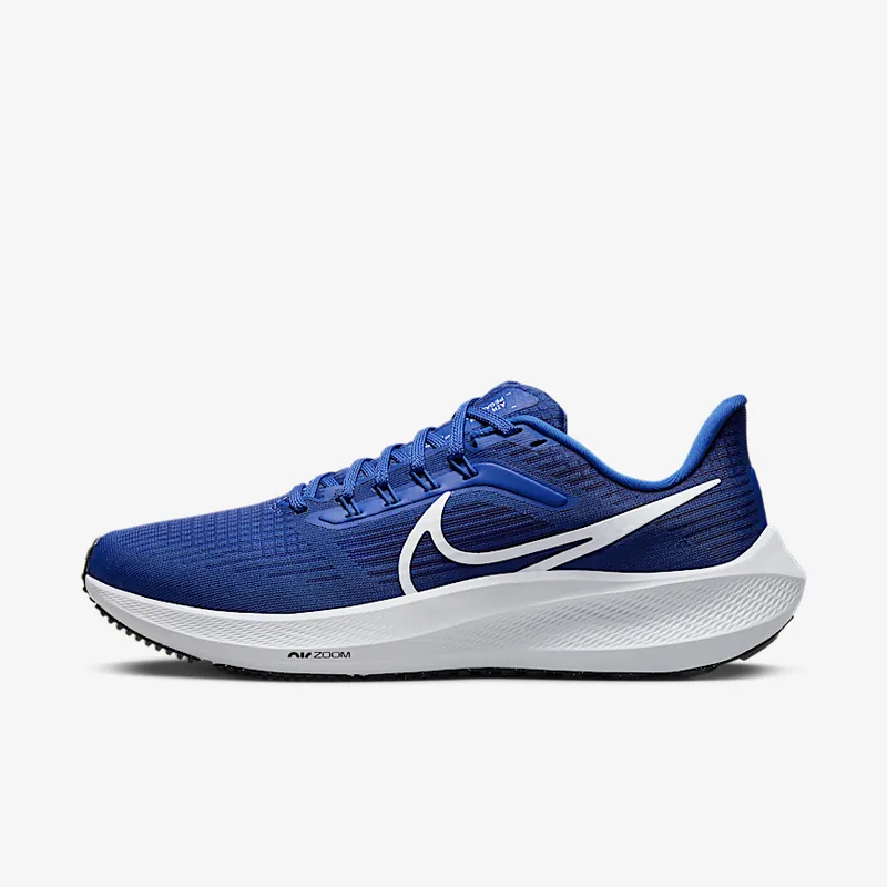 Nike Pegasus 39