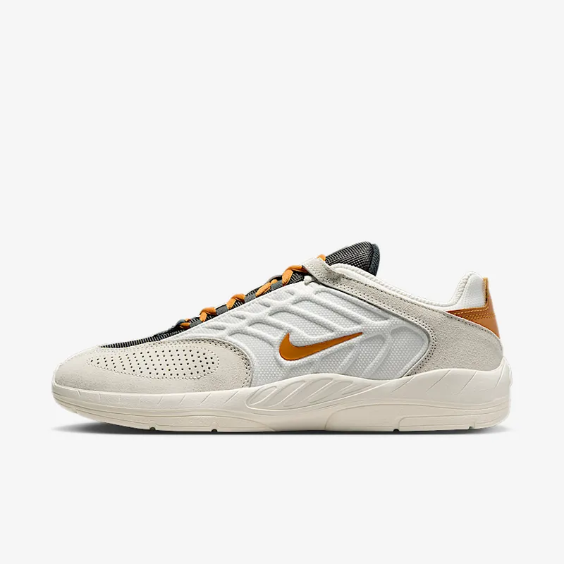 Nike SB 버테브레이