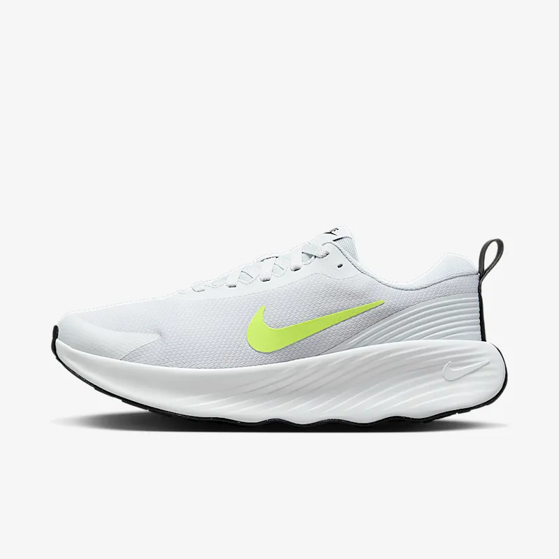 Nike 프로미나