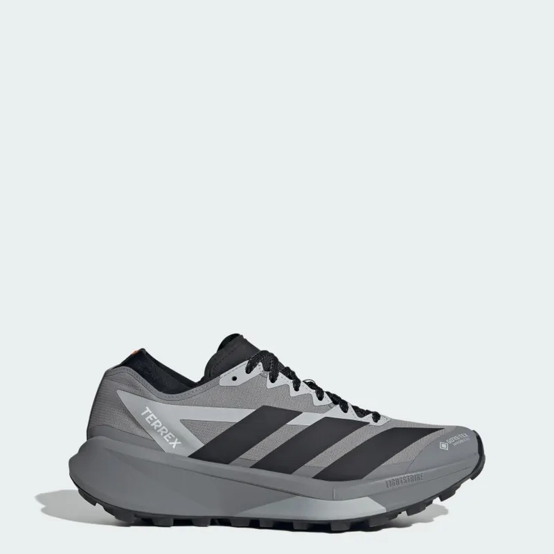 Adidas 테렉스 아그라빅 GTX 2