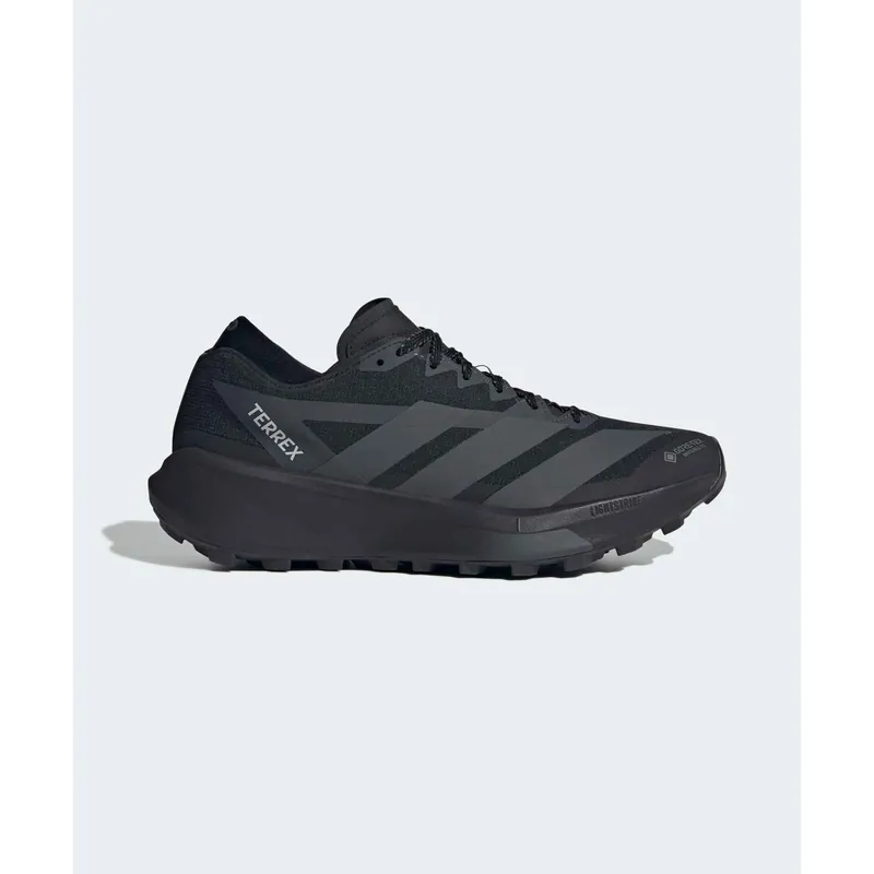 Adidas 테렉스 아그라빅 GTX 2