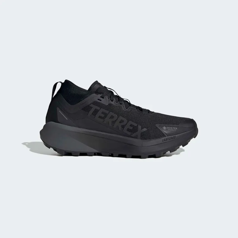 Adidas 테렉스 아그라빅 GTX